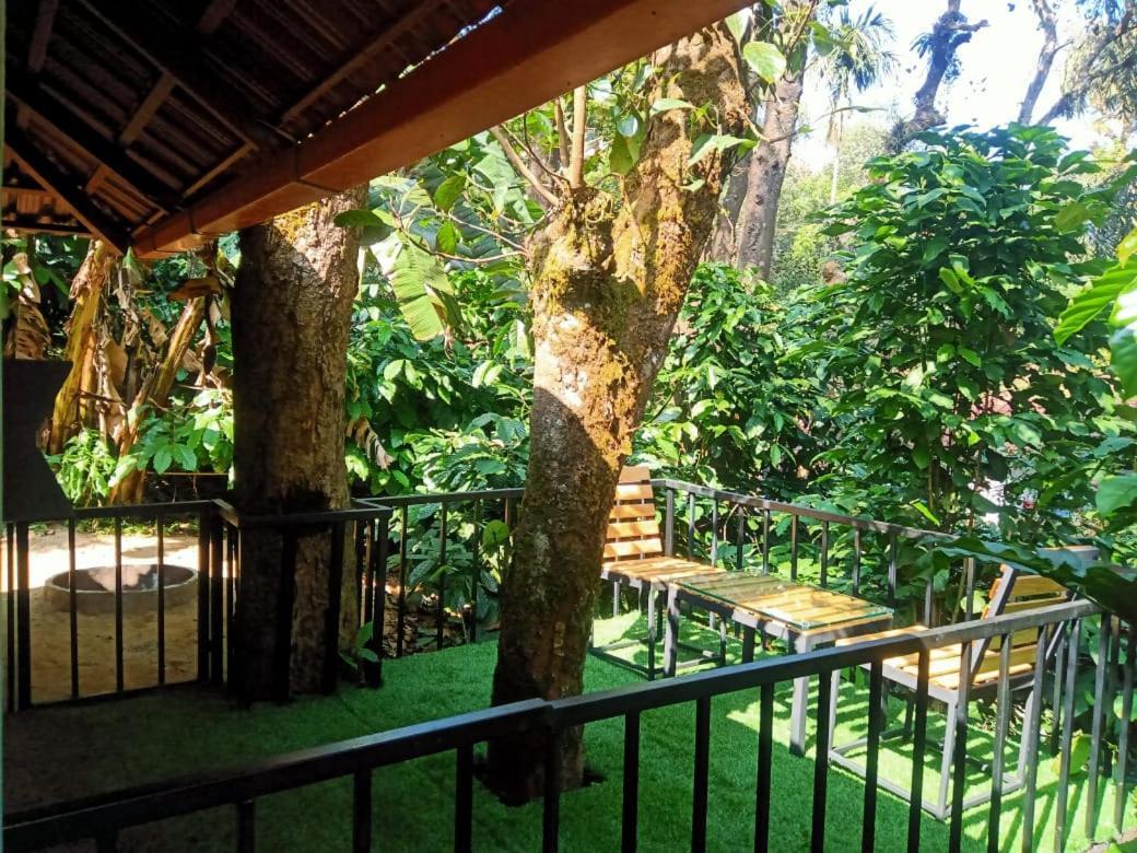 Hotel Misty Rain Estate Madikeri Exterior foto