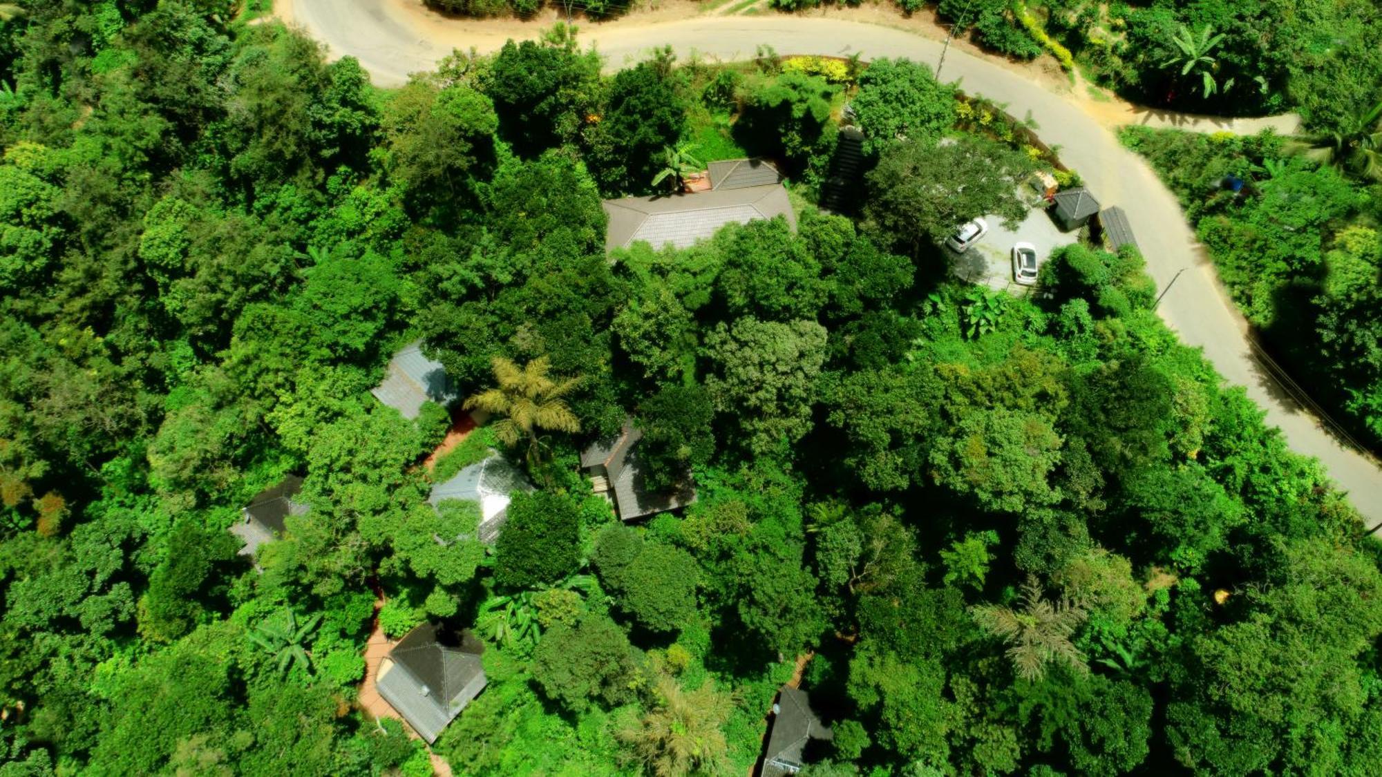 Hotel Misty Rain Estate Madikeri Exterior foto