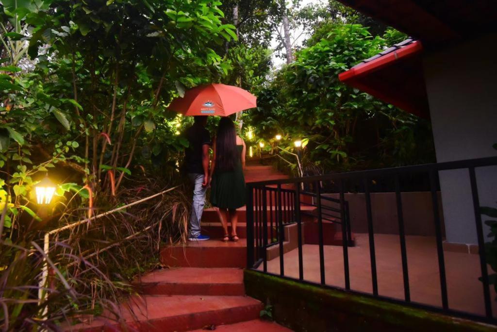 Hotel Misty Rain Estate Madikeri Exterior foto