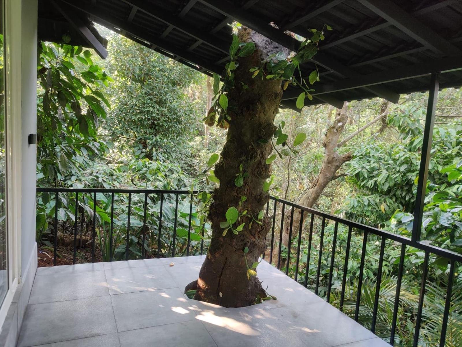 Hotel Misty Rain Estate Madikeri Exterior foto