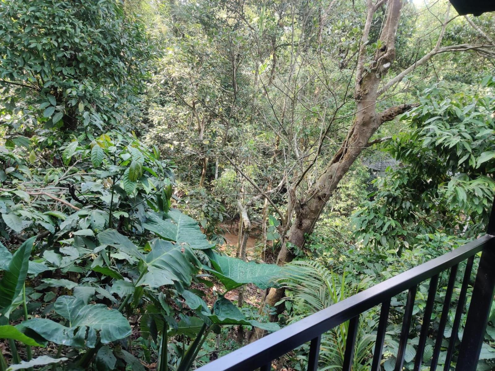 Hotel Misty Rain Estate Madikeri Exterior foto